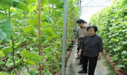 吃瓜爆料配乐是什么名字,揭秘“吃瓜爆料”神曲背后的故事